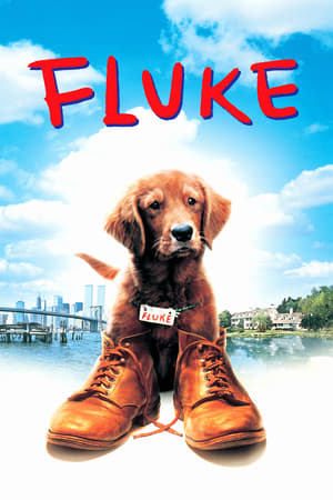 
Mi amigo Fluke (1995)