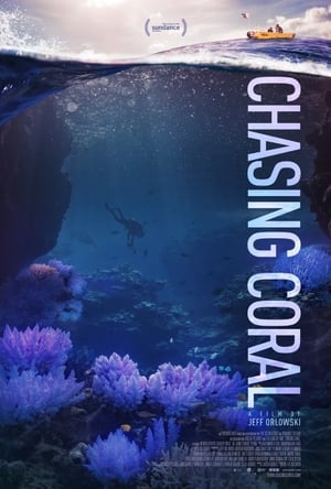 
En busca del coral (2017)