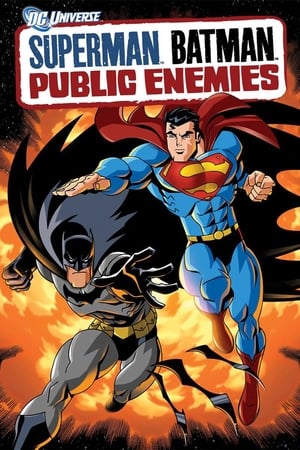 
Superman/Batman: Enemigos Publicos (2009)