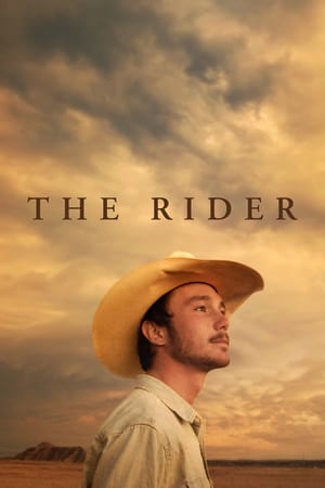 
The Rider (2017)