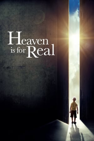 
El cielo es real (2014)