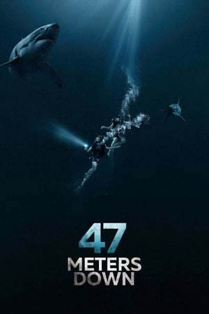 
A 47 metros (2017)