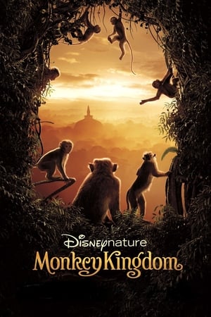 
El reino de los monos (2015)