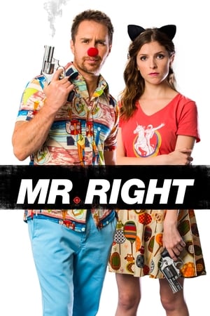 
Mr. Right (2015)