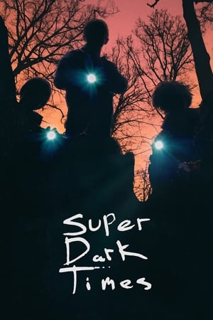 
Super Dark Times (2017)