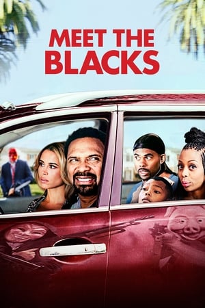 
Meet the Blacks (2016)