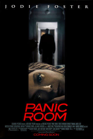 
La habitación del pánico (2002)