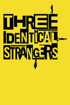 
Tres idénticos desconocidos (2018)