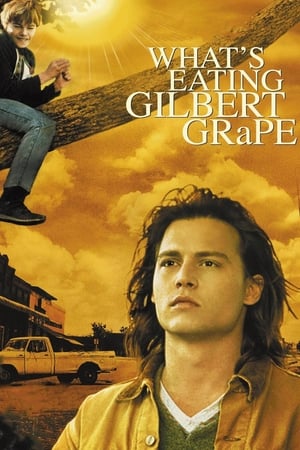 
¿A quién ama Gilbert Grape? (1993)