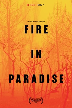 
Fire in Paradise (2019)