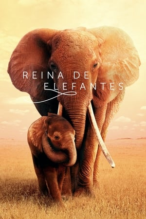 
Reina de elefantes (2019)